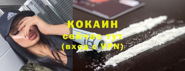 ГАЛЛЮЦИНОГЕННЫЕ ГРИБЫ Баксан