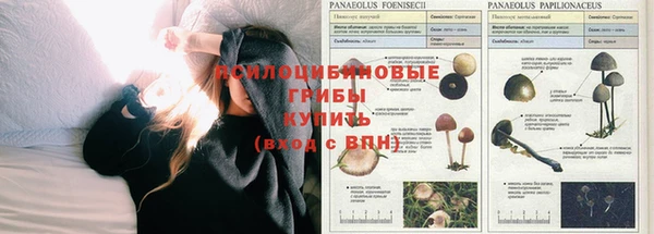 spice Балабаново