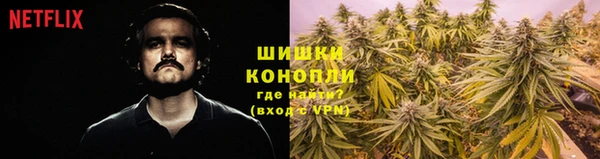 ГАЛЛЮЦИНОГЕННЫЕ ГРИБЫ Баксан