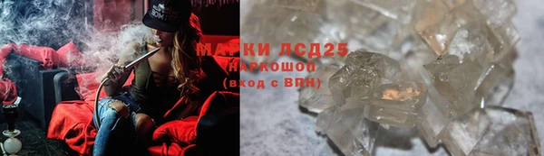 ГАЛЛЮЦИНОГЕННЫЕ ГРИБЫ Баксан