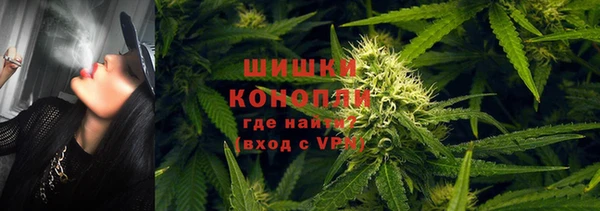 ГАЛЛЮЦИНОГЕННЫЕ ГРИБЫ Баксан