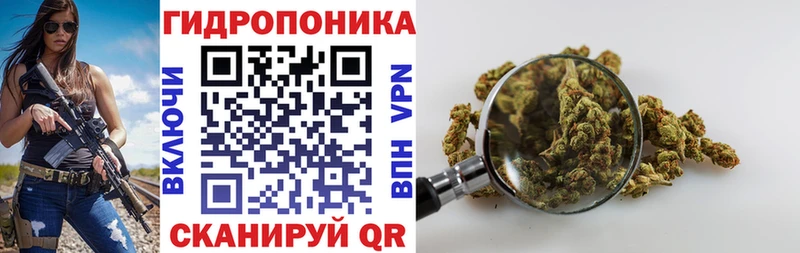 Марихуана индика Кондрово